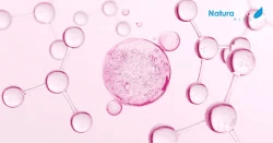 Čo je koenzým Q10 a prečo by ste mu mali venovať pozornosť